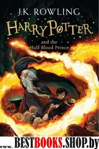 Harry Potter 6: Half-Blood Prince  (Ned)