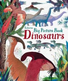 Big Picture Book: Dinosaurs  (HB)