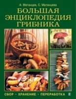 Большая энциклопедия грибника: сбор, хранение