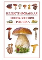 Иллюстрированная энциклопедия грибника