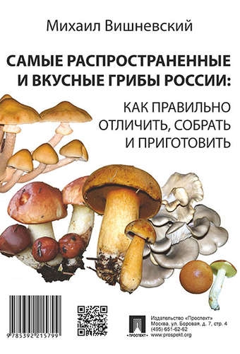 Самые распространенные и вкусные грибы России