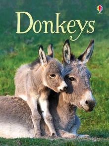 Donkeys (HB) (Ослики)