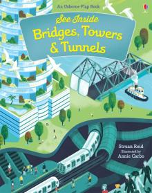 See Inside Bridges, Towers & Tunnels,flap board bk