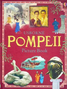 Pompeii Picture Book  (HB)