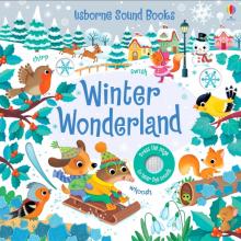 Winter Wonderland Sound Book  (board bk)