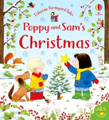 Poppy and Sams Christmas (board book)'