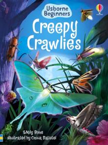 Creepy Crawlies (HB)